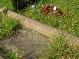 image of grave number 147426